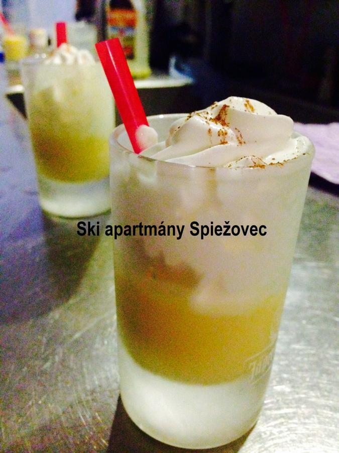 Ski Apartmany Spiezovec ドノヴァリ エクステリア 写真