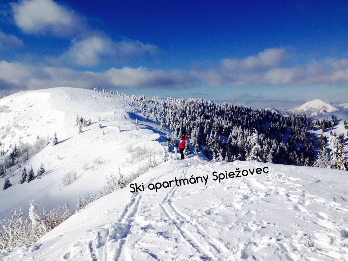 Ski Apartmany Spiezovec ドノヴァリ エクステリア 写真