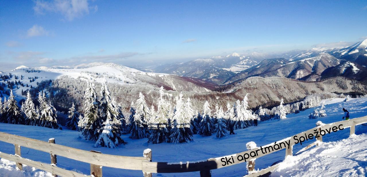 Ski Apartmany Spiezovec ドノヴァリ エクステリア 写真