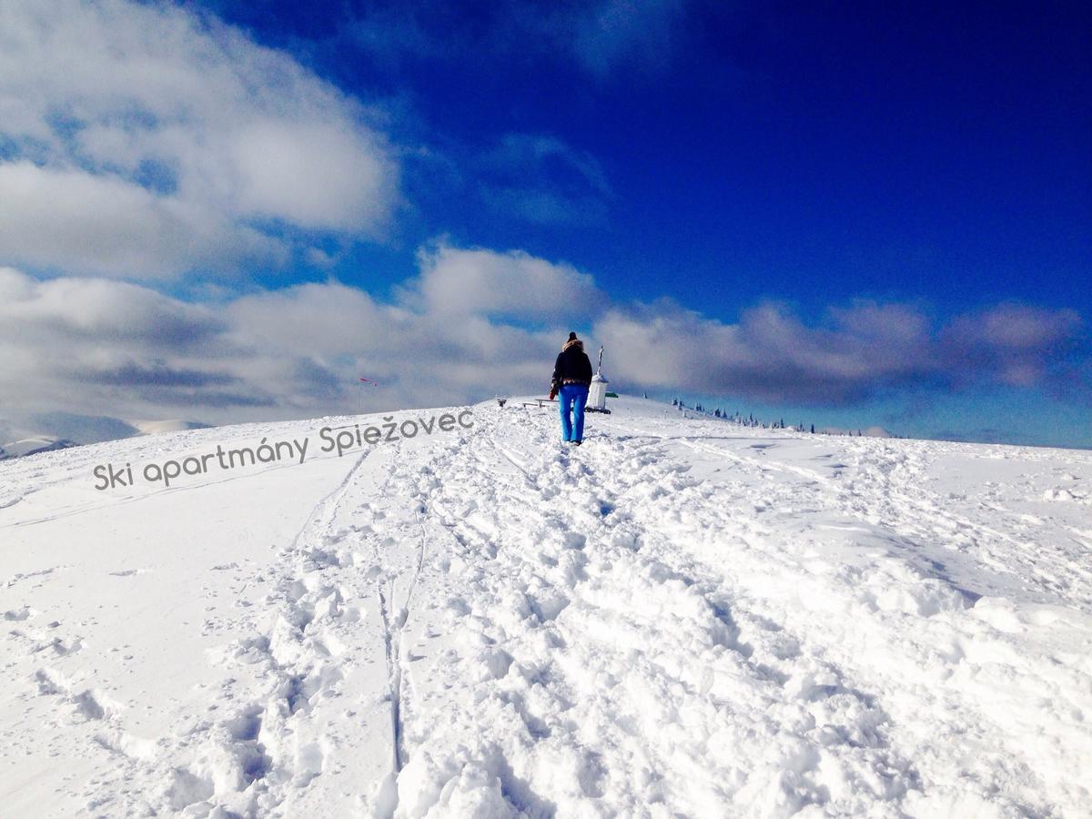 Ski Apartmany Spiezovec ドノヴァリ エクステリア 写真